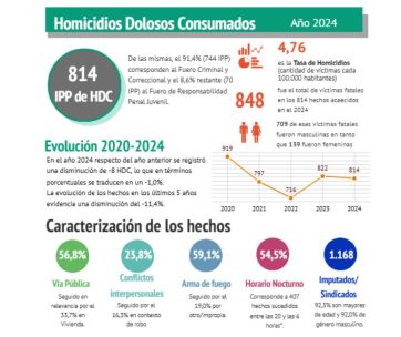 Homicidios en la Provincia: fuerte incidencia del femicidio y los conflictos personales