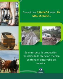 “El aislamiento es total”: una inundación evidenció una realidad “ignorada” del campo 