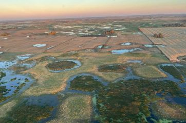 “El aislamiento es total”: una inundación evidenció una realidad “ignorada” del campo 