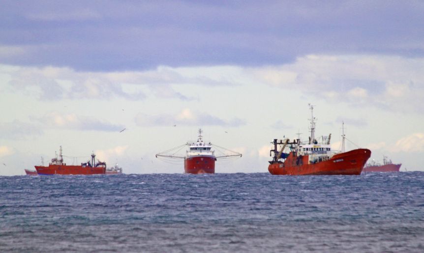 Se agrava la crisis fresquera: cámaras aseguran que no iniciarán la campaña del langostino