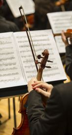 El Teatro Colón realizará un concierto a beneficio de la Orquesta Escuela de Bahía Blanca
