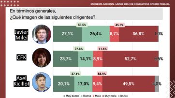 ¿Cómo ve la población a Cristina Kirchner luego de la condena?
