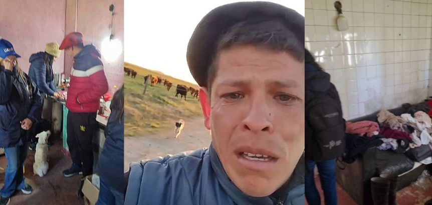 La Provincia intimó al empleador del peón que lloró por su perro