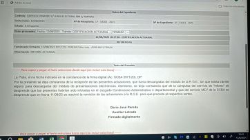 Grosso judicializó su postulación y la Junta oficializó 9 listas de Fuerza Patria