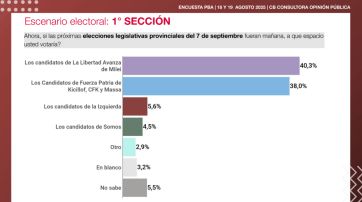Elecciones 2025: quiénes se suben al podio en el nivel de preferencias