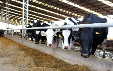 La Provincia sale al auxilio de las pymes