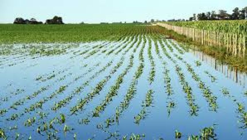 El campo puso el grito en el cielo y pidió respuestas a Provincia por las inundaciones