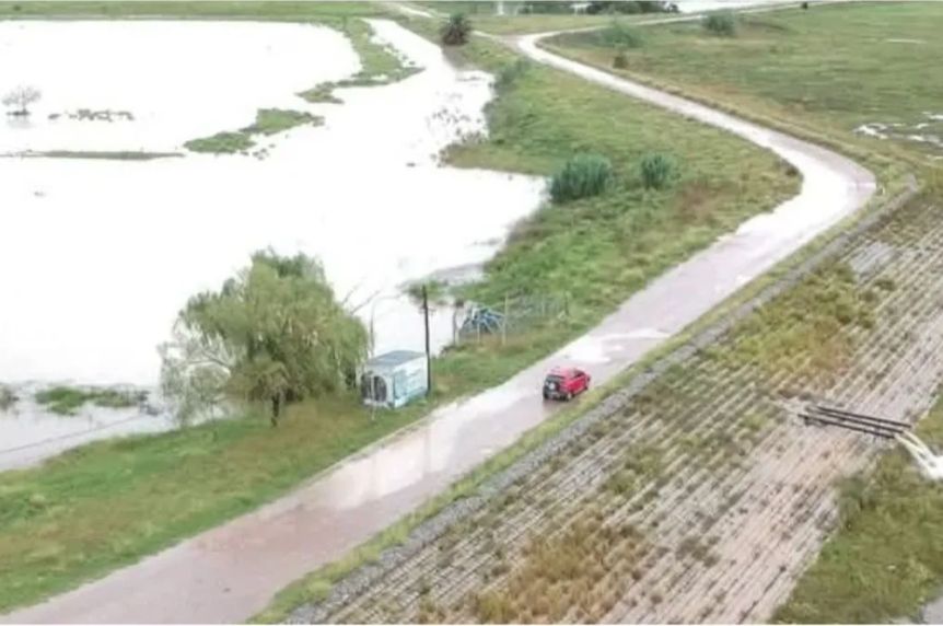Declaran la emergencia agropecuaria en 12 distritos bonaerenses por inundaciones