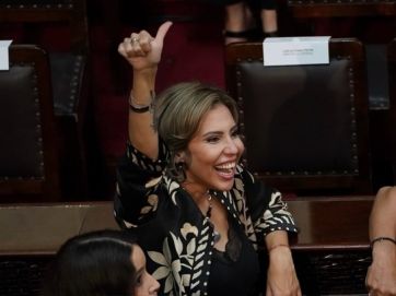 Cómo votó cada diputado y cuáles se le “dieron vuelta” al Presidente