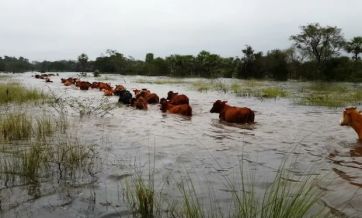 Bajo el agua: un nuevo temporal complica a los bonaerenses
