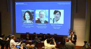 Quiénes son los tres científicos ganadores del Premio Nobel de Medicina 2025