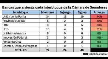 Elecciones 2025: cuántas bancas arriesga cada fuerza en el Congreso