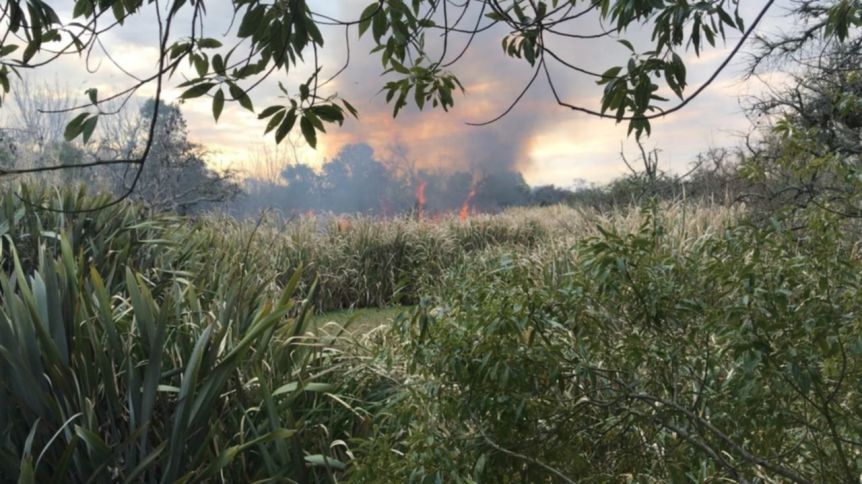 Isla Santiago: denuncian incendios intencionales y un negocio inmobiliario encubierto