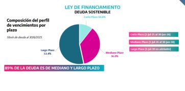 Peso por peso: cómo se reparten los fondos provinciales y del endeudamiento