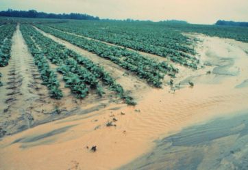 Una polémica subterránea