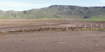 Una polémica subterránea