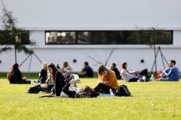 Unidos contra Milei: intendentes de distinto partido denuncian freno a la creación de universidades