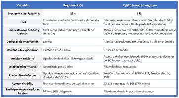 Un año del RIGI bonaerense: inversiones en alza y oportunidades perdidas