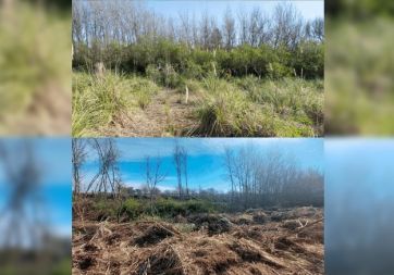 El avance de un barrio voraz