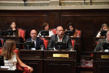 El kicillofismo sacrifica dos proyectos clave y ratifica que el Senado sesionará en febrero
