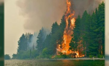 Ya se quemaron más de 3.000 hectáreas y Nación refuerza la presencia en la zona