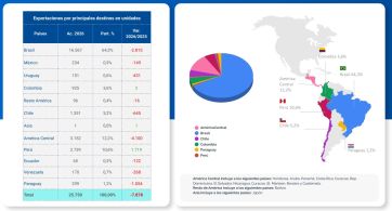 La industria automotriz puso el freno de mano: caen fuerte la producción y las ventas