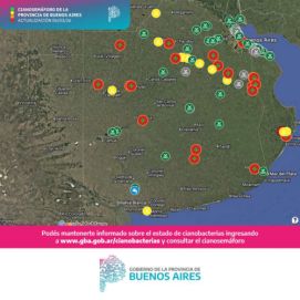 Hay 14 municipios bonaerenses en alerta por cianobacterias: uno en nivel rojo