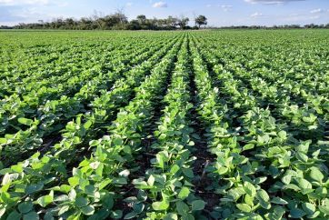 Cómo afectará a la Argentina la guerra en Medio Oriente