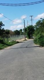 Área protegida bajo asfalto: denuncian obras ilegales y loteos en Isla Santiago