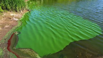 Agua tóxica: municipios en alerta roja