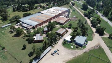 Empresas en crisis: ¿la Provincia puede hacerse cargo?