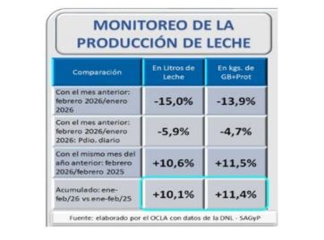 Crisis en los tambos bonaerenses: producen más leche, pero cada vez pierden más plata