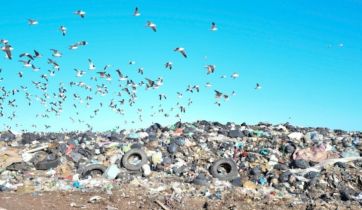 Basura: un drama a cielo abierto