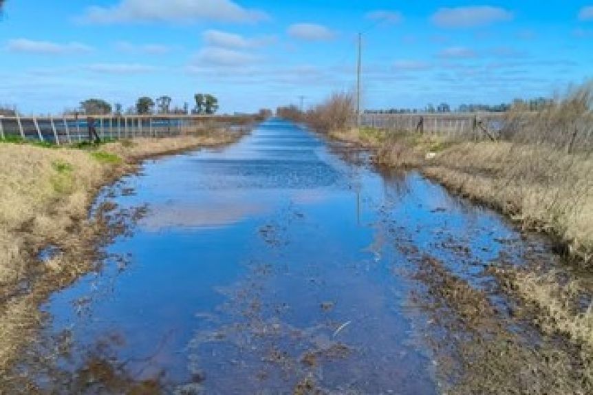 Golpe a municipio peronista: la Justicia anula tasa vial y ordena devolver dinero