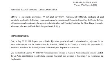 La AFA en el Estadio Único: la letra chica del acuerdo entre Kicillof y Tapia