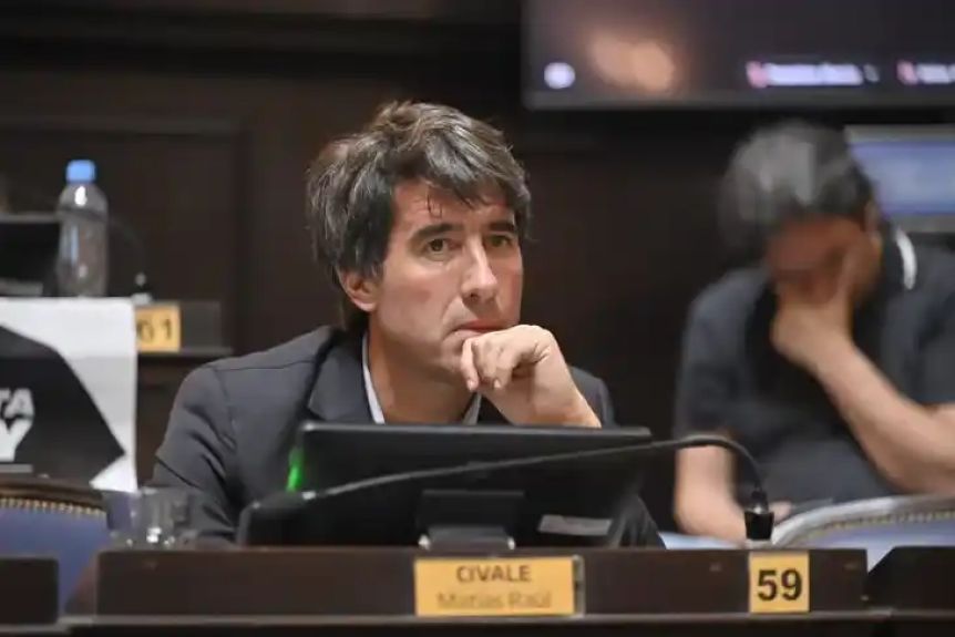 La UCR lleva a la Legislatura un proyecto para desdoblar los comicios en la Provincia