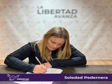Concejo platense: de la más elegante al que solo calienta la silla