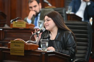 Concejo platense: de la más elegante al que solo calienta la silla