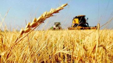 El campo quiere retenciones cero: “No somos los responsables de que haya equilibrio fiscal”