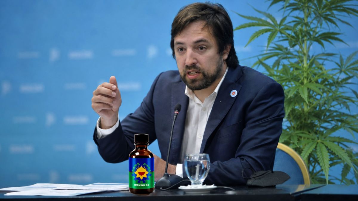 PBA institucionaliza el cannabis medicinal y crea un consejo con poder de influencia