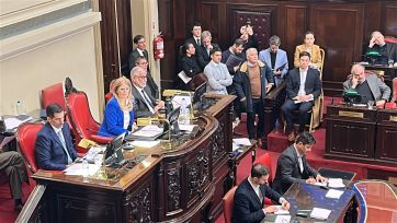 Senado: el régimen de Zona Fría se coló en la primera sesión del año