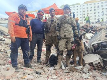 La historia de Bart, el perro argentino que se convirtió en héroe en Venezuela