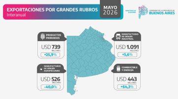 Comercio exterior: dos realidades distintas para los números nacionales y bonaerenses