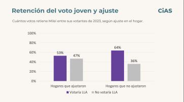 Jóvenes en los barrios: el peronismo supera a Milei, pero LLA retiene su núcleo duro