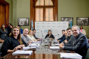 Sin Reforma Política: otro capítulo del tironeo en el Senado por las reelecciones