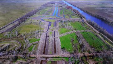 Humedal en peligro: polémica en Campana por emprendimiento junto a un parque nacional