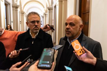 Envalentonada, la oposición apura a Alonso para que también vaya al Senado