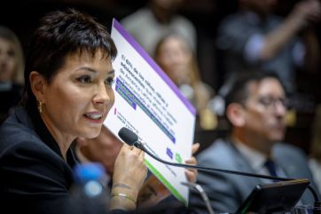 Cambio libertario y dos proyectos aprobados: qué se votó en Diputados