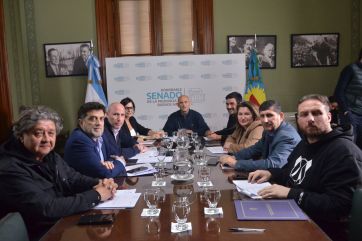 Con Salud y endeudamiento en el freezer, vuelve a sesionar el Senado bonaerense