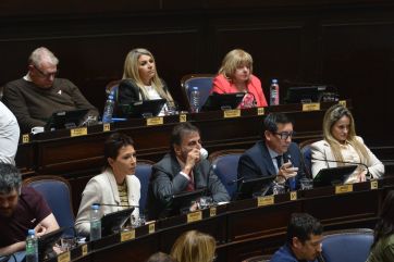 Sesión en Diputados: se aprobaron la Ley Ema y la regulación de celulares en escuelas